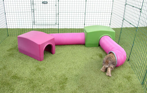 Lapin grimpant dans le tunnel de jeu Zippi 