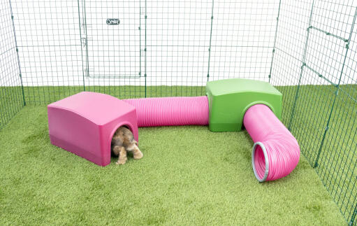 Lapin dans un abri et un tunnel de jeu violet Zippi 