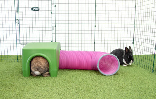 Lapin en vert Zippi abri et tunnel de jeu