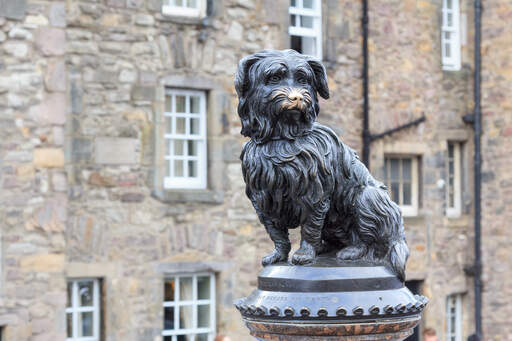 Greyfriars bobby statue d'un loyal skye terrier qui est resté près de la tombe de son maître Pendant quatorze ans