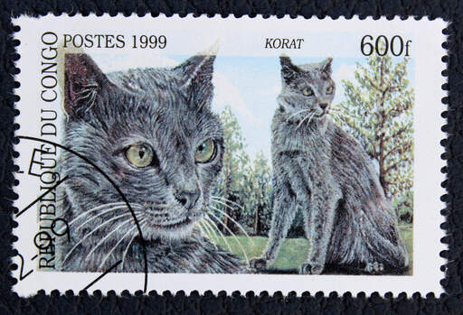 Un timbre de la république démocratique du conGo avec un chat korat imprimé dessus
