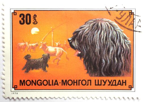 Un puli sur un timbre monGolian