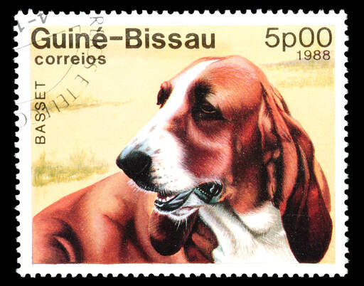 Un basset sur un timbre d'afrique de l'ouest