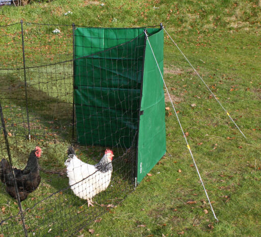 Kit bâche coupe vent pour filet à poules