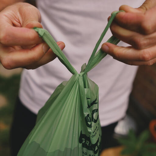 Attacher le sac à crottes pour chien beco