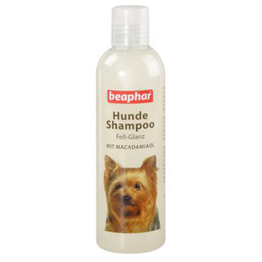 Beaphar shampooing pour chiens coat shine (250ml)