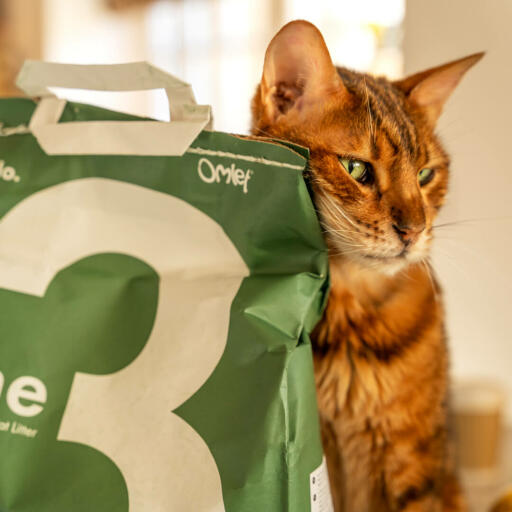 Chat se frottant sur Omlet sac de litière pour chat 3 pins