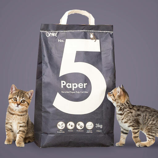 Omlet litière pour chats 5 papier