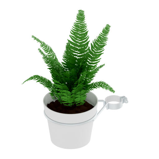 Pot et support pour plantes