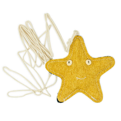 Omlet jouet chat étoile de mer