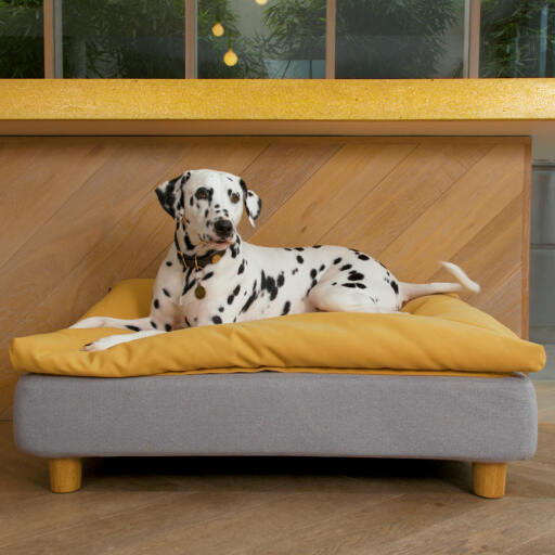 Chien couché sur Omlet Topology lit pour chien avec pouf et pieds ronds en bois