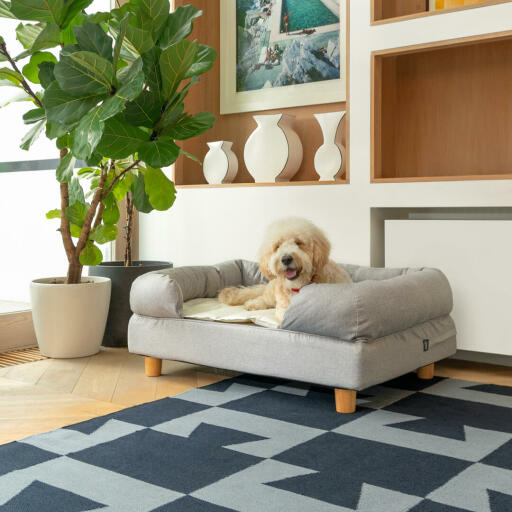 Chien qui se repose sur son lit Bolster Medium avec d’élégants pieds en bois ronds qui conviendront à tous les décors.
