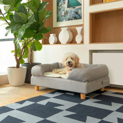 Chien couché sur le lit pour chien à mémoire de forme Omlet gris avec pieds ronds en bois et Omlet Lux couverture douce pour chien ury