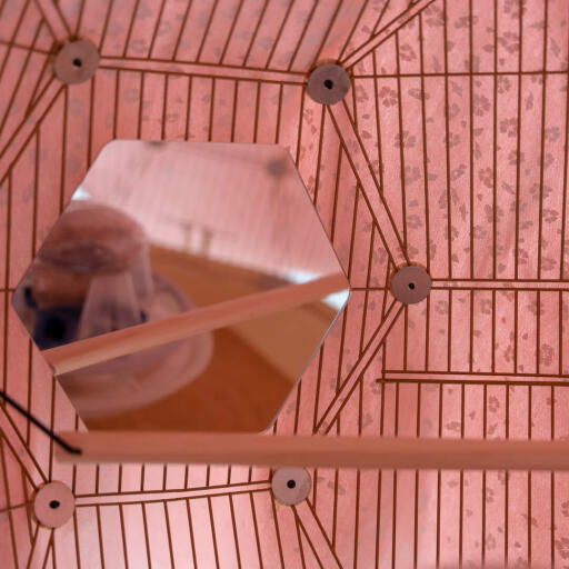 Un miroir à l'intérieur d'une cage à oiseaux avec une couverture rose par-dessus