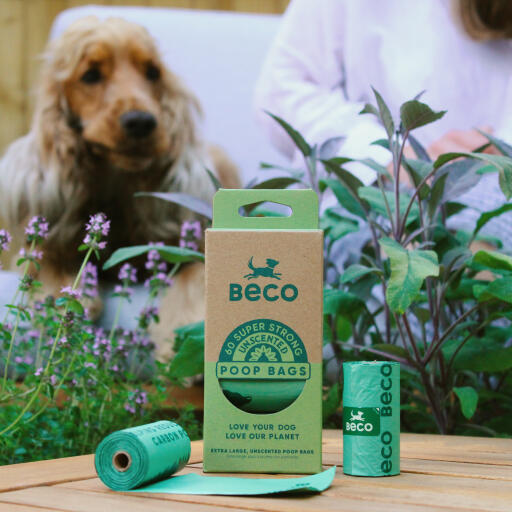 Sacs à crottes pour chiens beco