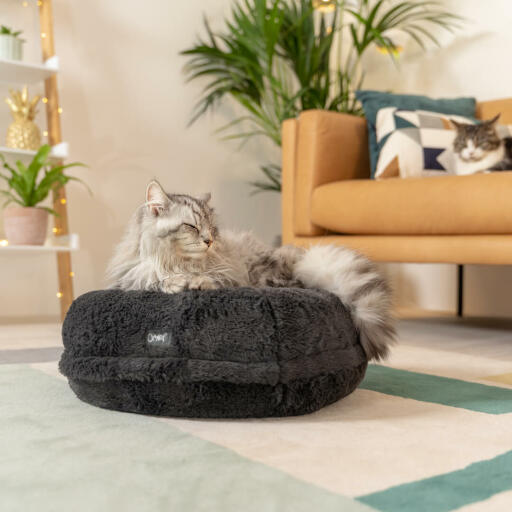 Ce lit pour chats en forme de Donut épouse les contours du corps de votre chat comme vu ici avec Sammy qui pèse 5 kg.