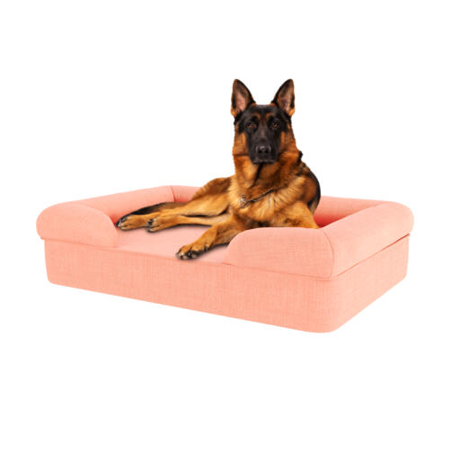 Chien assis sur un lit pour chien rose pêche en mousse à mémoire de forme