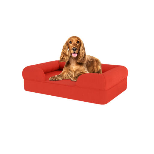 Chien assis sur un lit pour chien en mousse à mémoire de forme de couleur rouge cerise.