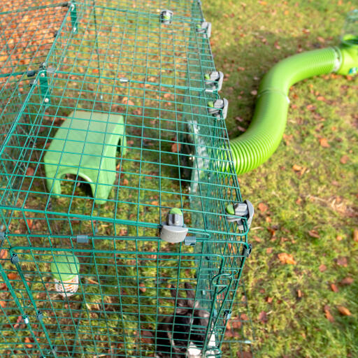 Un parcours pour animaux avec des serrures Zippi, un abri, des friandises Caddi et un tunnel Zippi 