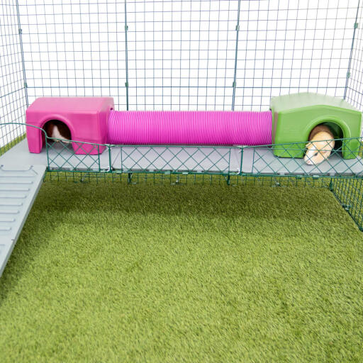 Omlet Zippi parc pour cochons d'inde avec Zippi plates-formes, abris violets et verts Zippi reliés par un tunnel de jeu Zippi 