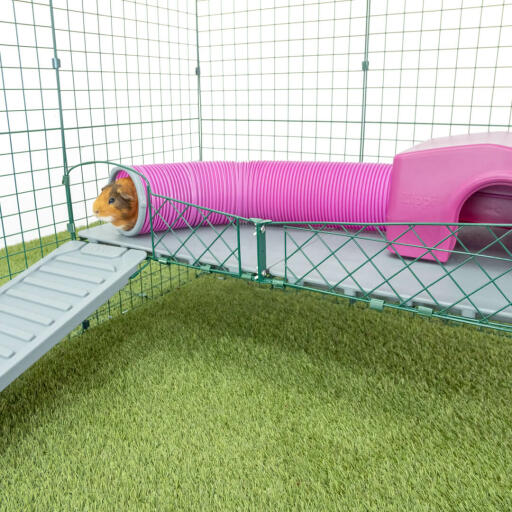 Cochon d'inde en rose tunnel de jeu pour cochon d'inde attaché au rose Zippi abri pour cochon d'inde sur Zippi plateformes
