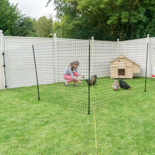 Une femme dans un jardin dont les poules sont à l'intérieur d'une zone clôturée.