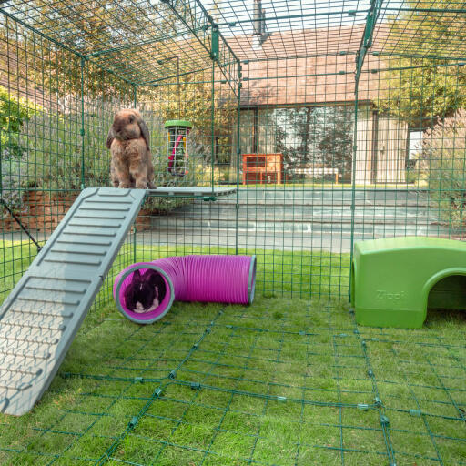 Intérieur Omlet Zippi parc pour lapins avec Zippi plateformes, abri vert Zippi, Zippi tunnel de jeu, Caddi support pour friandises et deux lapins