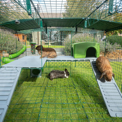 Intérieur Omlet Zippi parc pour lapins avec Zippi plateformes, abri vert Zippi et trois lapins