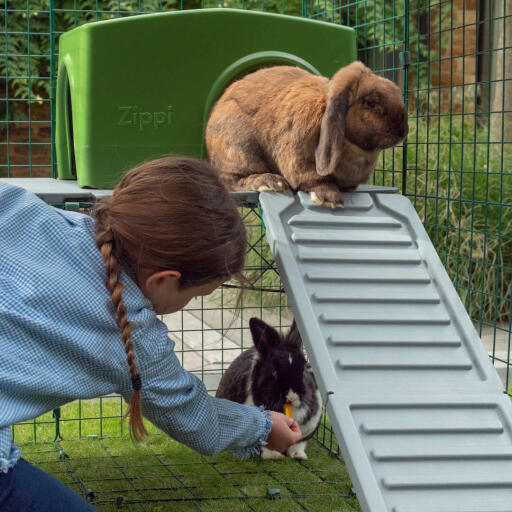 Les lapins timides profiteront bien de l’abri créé par les plateformes et pourront s’y reposer ou dévorer leurs friandises !