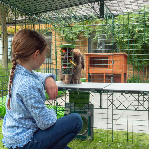 Les plateformes Zippi offrent de nouvelles façons aux enfants et à leurs animaux de s’amuser ensemble.