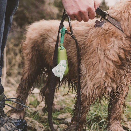 Beco distributeur de sacs à crottes pour chiens attaché à la laisse du chien
