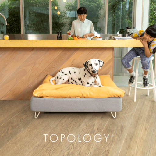 Dalmatien couché sur Omlet Topology lit pour chien avec pouf et pieds en épingle à cheveux blancs