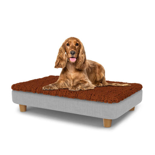Chien assis sur un lit pour chien de taille moyenne Topology avec surmatelas en microfibre et pieds ronds en bois