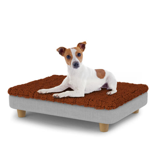 Chien assis sur un petit lit pour chien Topology avec surmatelas en microfibre et pieds ronds en bois