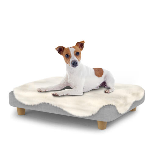 Chien assis sur un petit lit pour chien Topology avec une couverture en peau de mouton et des pieds ronds en bois.