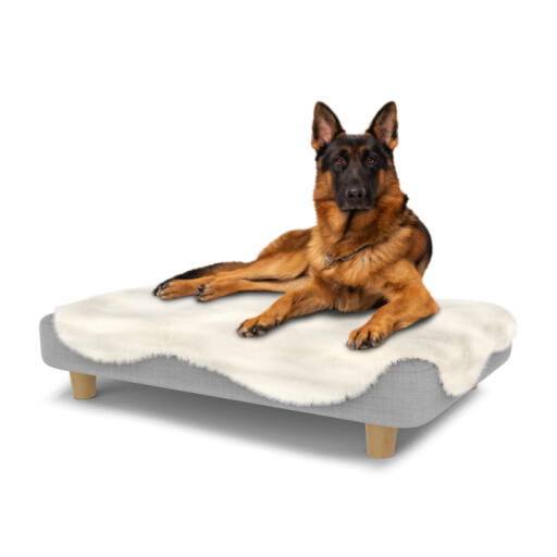 Chien assis sur un grand lit pour chien Topology avec une couverture en peau de mouton et des pieds ronds en bois.