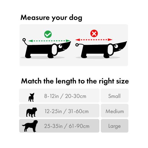 Comment mesurer votre chien