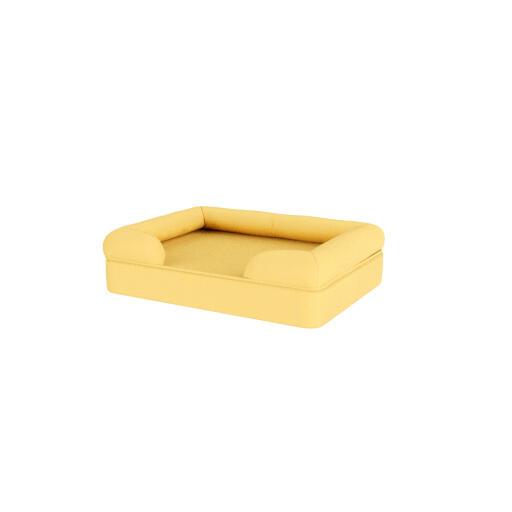 Un lit de chien jaune.