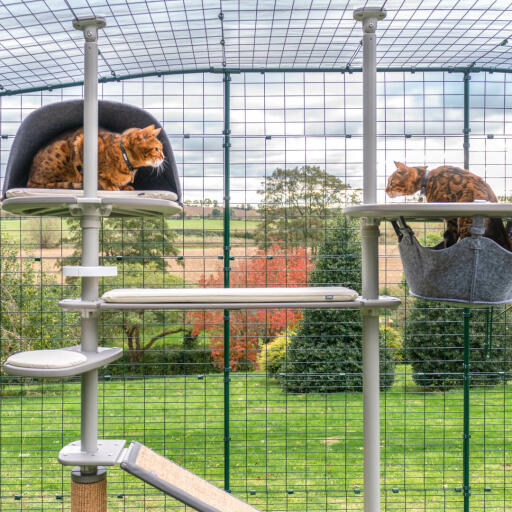 Chats jouant sur le Omlet Freestyle arbre à chat extérieur système de perchoirs avec accessoires coussin crème