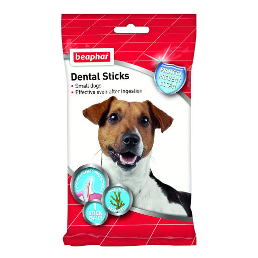 Bâtonnets dentaires beaphar pour petits chiens