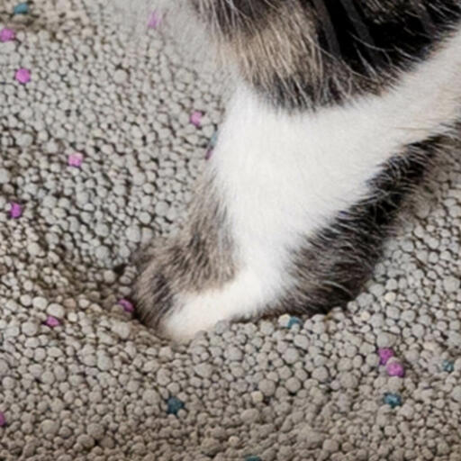 Patte de chat en argile litière pour chat