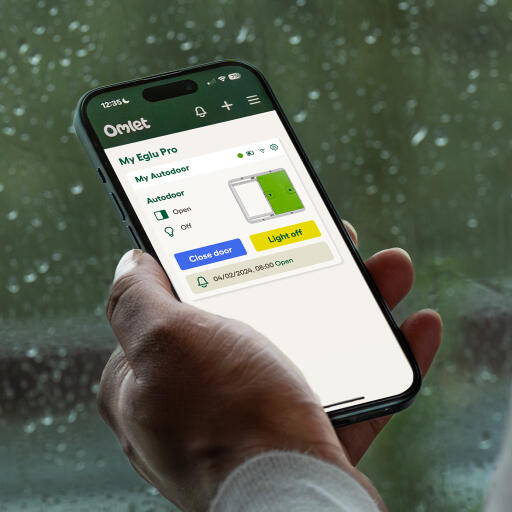 Gros plan sur l'écran de l'application Omlet 