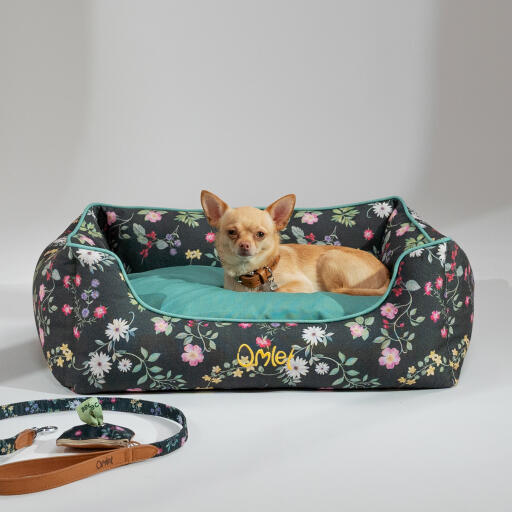 Chihuahua couché dans un lit nid Omlet dans le motif midnight meadow