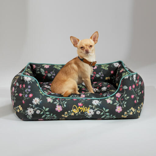 Chihuahua assis dans un lit nid Omlet dans le motif midnight meadow