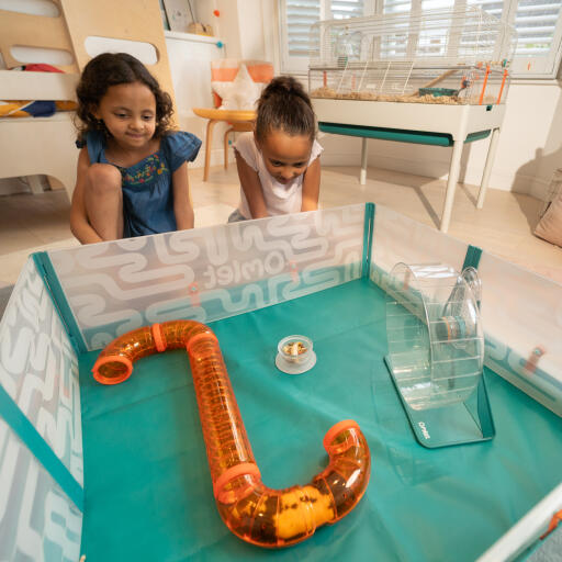 Deux enfants regardant leur hamster dans les tunnels de démarrage du parc à hamster Omlet 