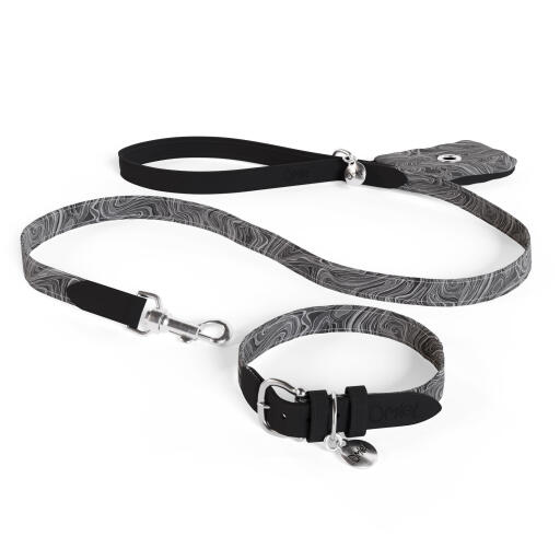 Laisse pour chien, collier et porte-sac à crottes en kit