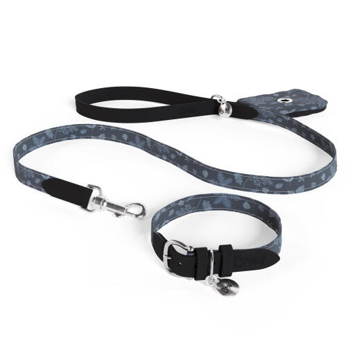 Laisse pour chien, collier et porte-sac à crottes en kit