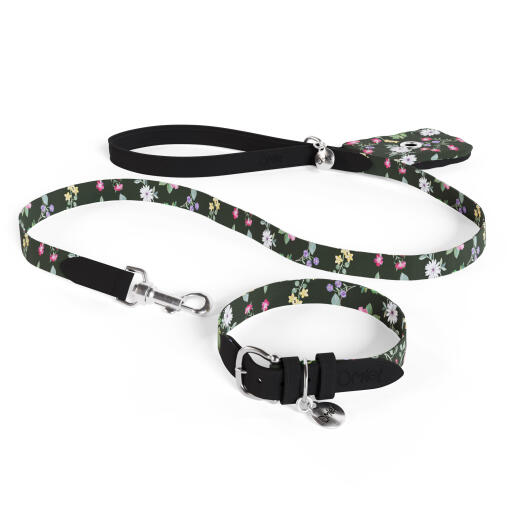 Laisse pour chien, collier et porte-sac à crottes en kit