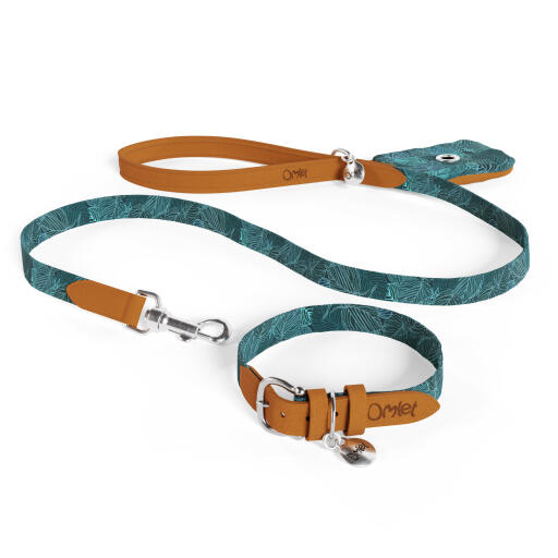 Laisse pour chien, collier et porte-sac à crottes en kit