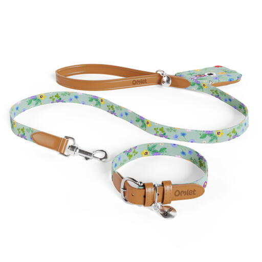 Laisse, collier et porte-sac à crottes en vert et imprimé floral multicolore gardenia sage par Omlet.